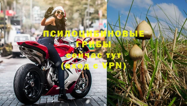 mdpv Магас