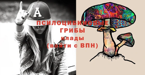 mdpv Магас