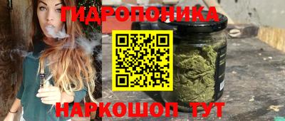 a pvp Дубна