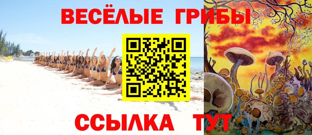 Галлюциногенные грибы прущие грибы  Ижевск  Псилоцибиновые грибы прущие грибы 