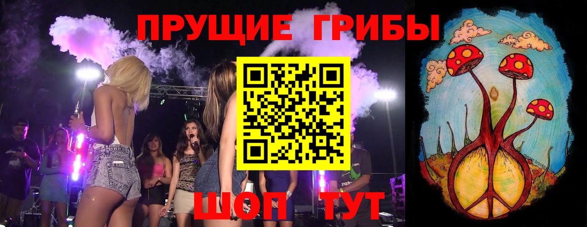 Галлюциногенные грибы Psilocybe  Вход с VPN  Ижевск  Псилоцибиновые грибы мухоморы 